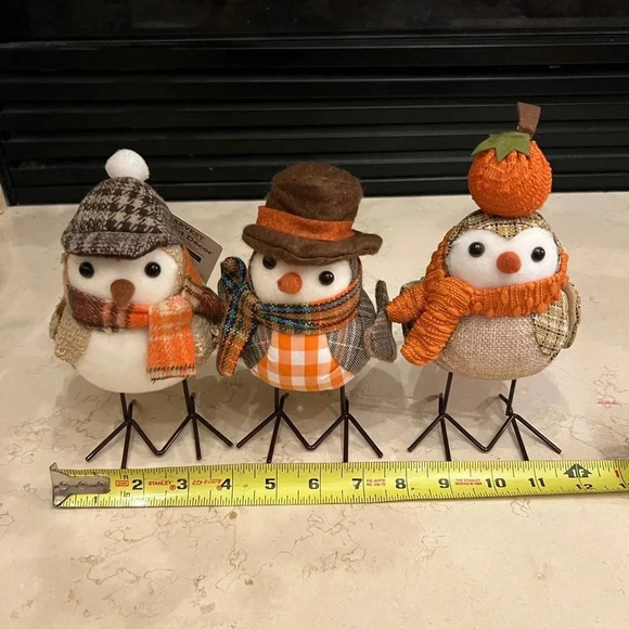 Set of 3 Walmart harvest fabric fall birds scarf glasses target inspired - Picture 7 of 7